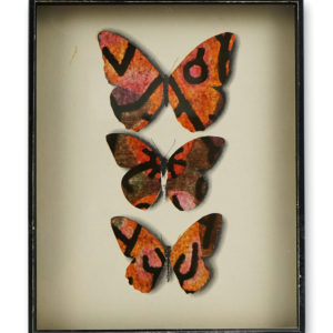 Jiří Kolář (1914-2002), Butterfly showcase, 1970