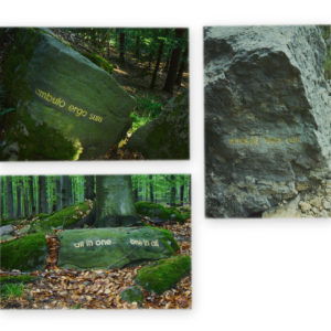 Herman de Vries 1931, 13 Picture Postcards, 2006