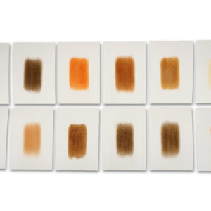 Herman de Vries (1931), from earth von rainer & barbara’s reise nach goma, 2011.