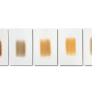 Herman de Vries (1931), from earth: east africa collected by rainer & Barbara pliess, 2010.