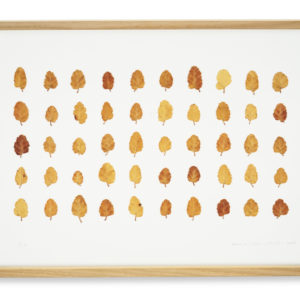 Herman de Vries (1931), 50 x, 2008.