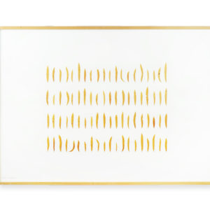 Herman de Vries (1931), salix schwaebensis, 1994