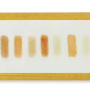 Herman de Vries (1931), from earth: between agadir & chechaona, 1999.