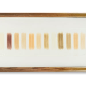 Herman de Vries (1931), from earth: from rainer’s trip tp sw usa, 1993, 1994.